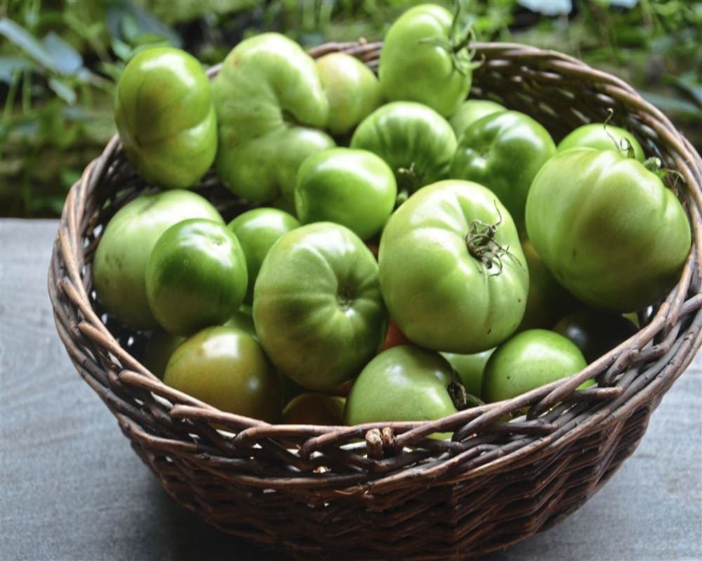 Green Tomato
