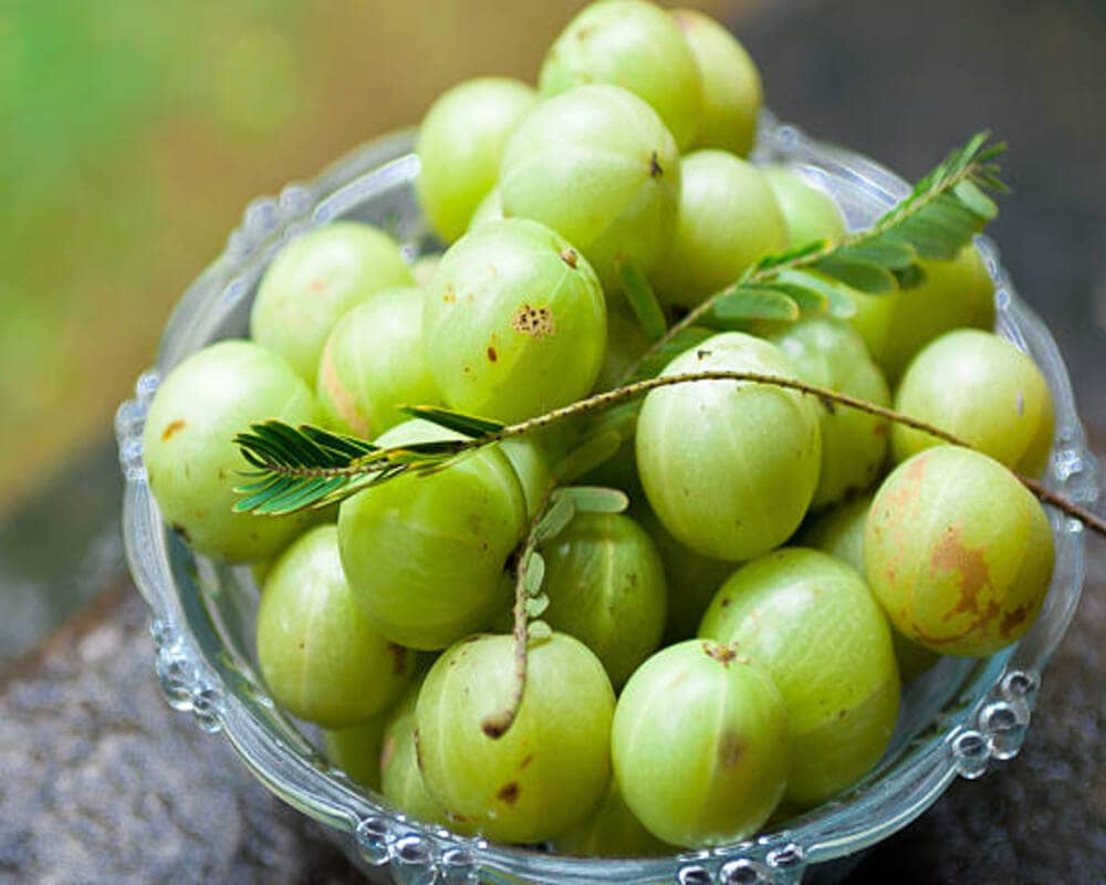 Gooseberry
