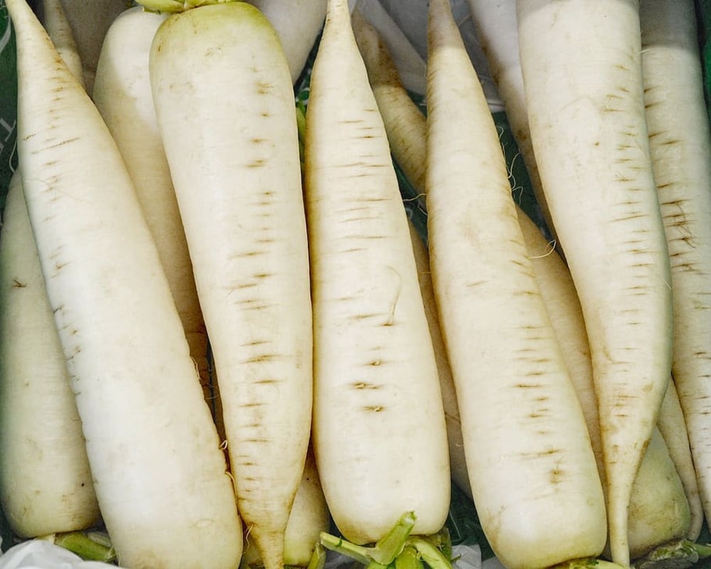 Radish-white