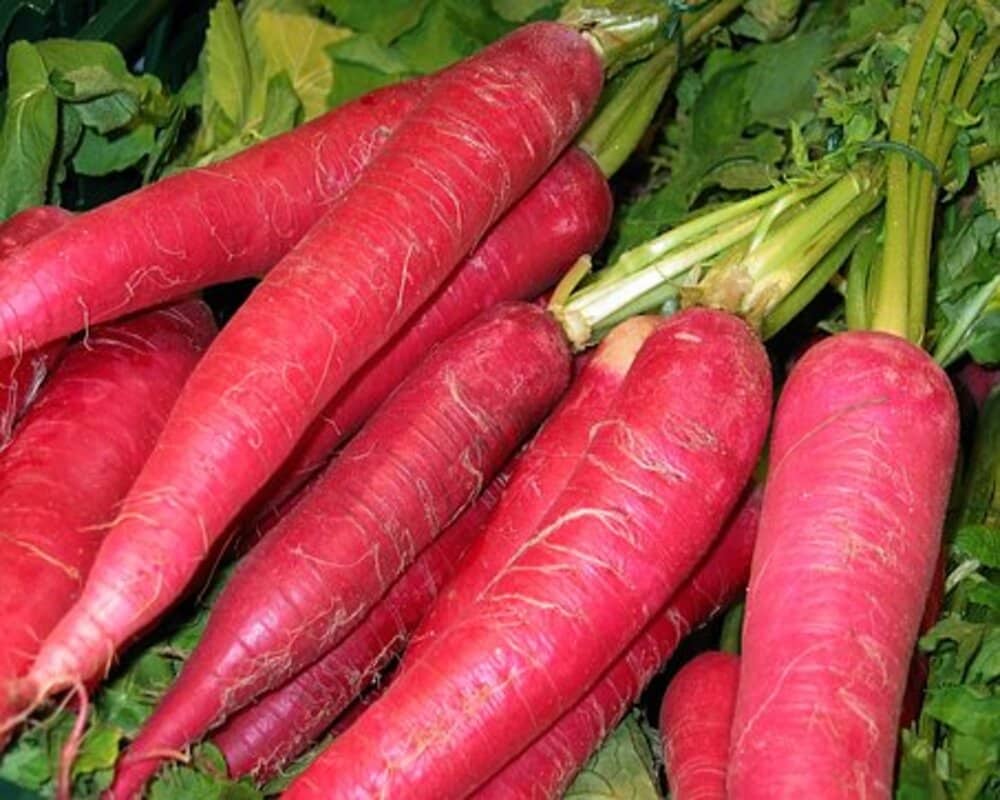 Radish-red